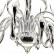 Подвесная люстра Lightstar Cigno Collo 751244