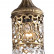 Потолочная люстра Odeon Light Salona 2641/7C