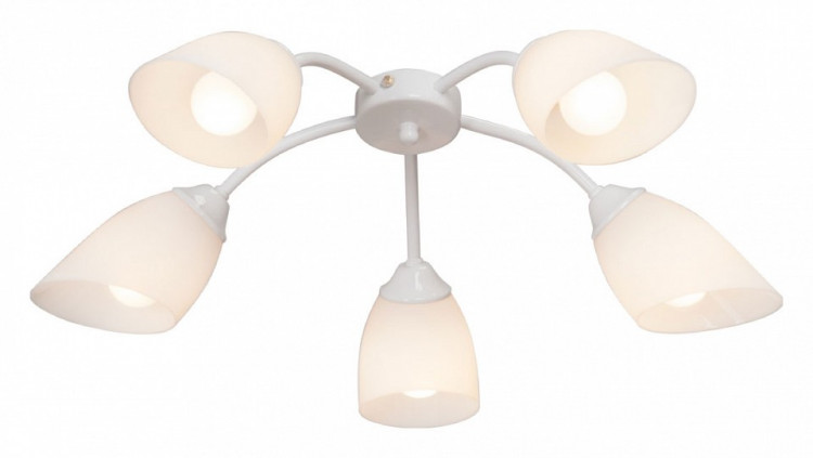 Потолочная люстра Vitaluce V3184 V3194/5PL
