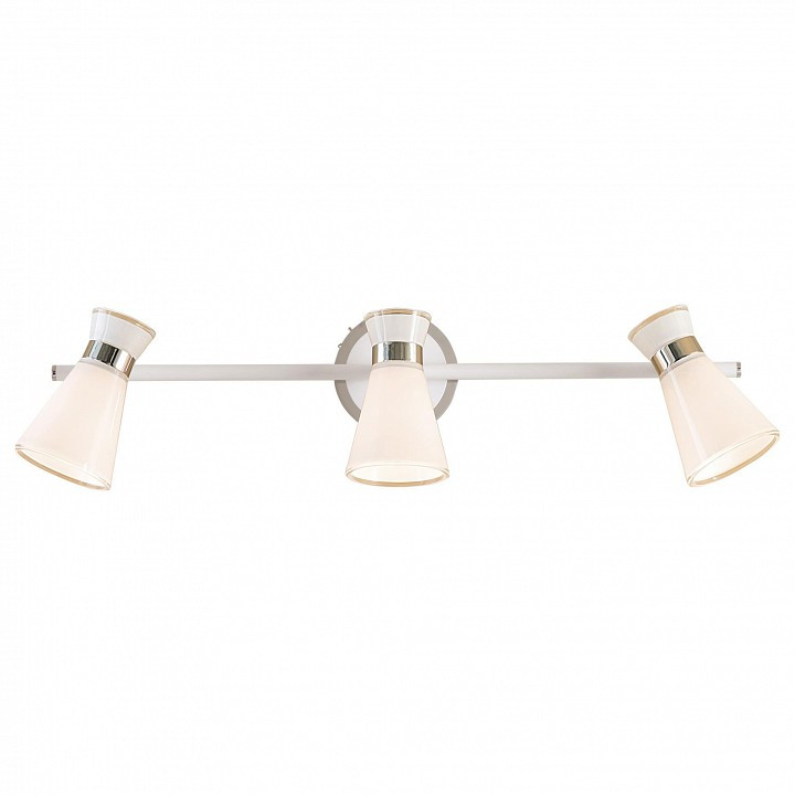 Спот Citilux Грейс CL528531