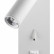 Бра Odeon Light Bill 4300/3WL