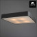 Накладной светильник Arte Lamp Cosmopolitan A7210PL-4BK