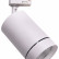 Светильник на штанге Lightstar Canno 303564