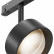Светильник на штанге Maytoni Lens TR217-2-15W3K-B