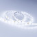 Лента светодиодная Arlight RTW 2-5000SE 12V Cool (3528, 300 LED, LUX) 016836(B)