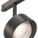 Светильник на штанге Maytoni Lens TR217-2-15W4K-B
