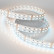 Лента светодиодная Arlight RT открытая 012327(2)