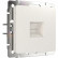 Розетка Ethernet RJ-45 без рамки Werkel перламутровый рифленый W1181013