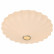 Накладной светильник Arte Lamp Cocoon A6090PL-2WH