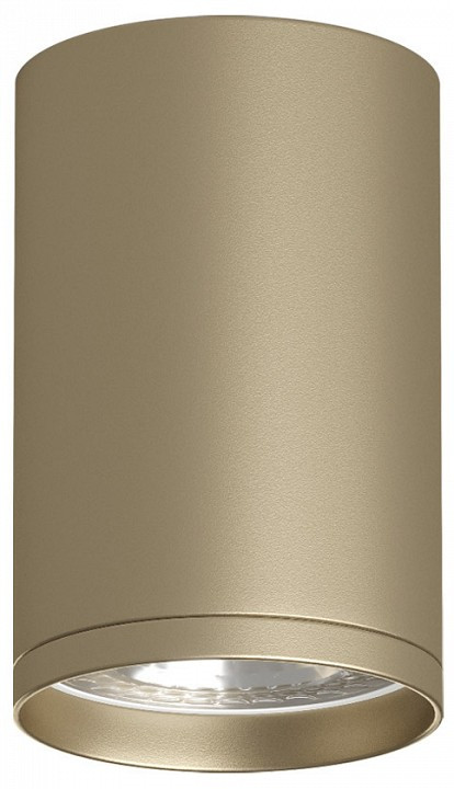 Накладной светильник Denkirs TUBE DK2050-SG