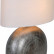 Настольная лампа декоративная Arte Lamp 5144 A5144LT-1SI