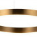 Подвесной светильник Loft it Ring 10013S