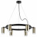 Подвесная люстра Lightstar Rullo LR0163160