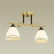 Накладной светильник Lumion Becky 4544/2C