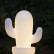 Настольная лампа декоративная Lucide Cactus 13813/02/31