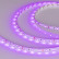 Лента светодиодная Arlight RT открытая 013571(2)