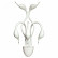 Бра Lightstar Cigno Collo 751656