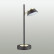 Настольная лампа декоративная Lumion Jill 3747/5TL