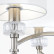 Подвесная люстра Maytoni Alicante MOD014CL-06N