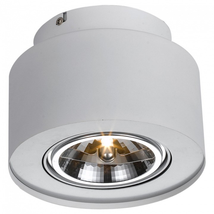 Накладной светильник Arte Lamp Cliff A5643PL-1WH