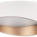 Накладной светильник Lightstar Celesta 809456