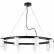 Подвесная люстра Lightstar Rullo LR0203600