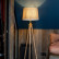 Торшер Maytoni Calvin Z177-FL-01-BR
