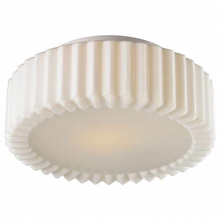 Накладной светильник Arte Lamp Aqua A5027PL-1WH