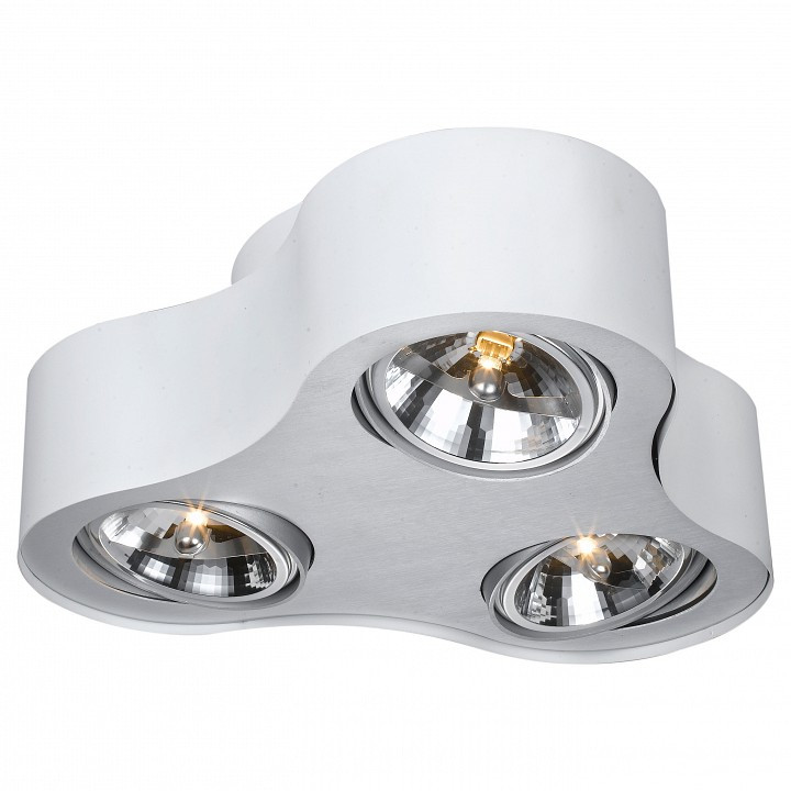 Накладной светильник Arte Lamp Cliff A5643PL-3WH