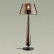 Настольная лампа декоративная Odeon Light Tower 4852/1T