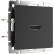 Розетка HDMI без рамки Werkel черный матовый W1186008