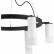 Подвесная люстра Lightstar Rullo LR0163638631