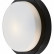 Накладной светильник Odeon Light Holger 2744/1C