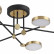 Люстра на штанге Odeon Light Denzel 4320/60CL