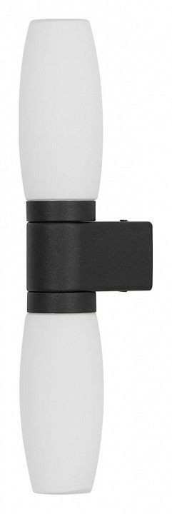 Светильник на штанге Arte Lamp Aqua-Bastone A1209AP-2BK