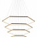 Подвесной светильник Loft it Ring 10016/5