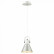 Подвесной светильник Lumion Ollie 3788/1