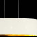 Подвесной светильник EVOLUCE Brescia SLE300543-03