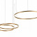 Подвесной светильник Loft it Ring 10017/3L