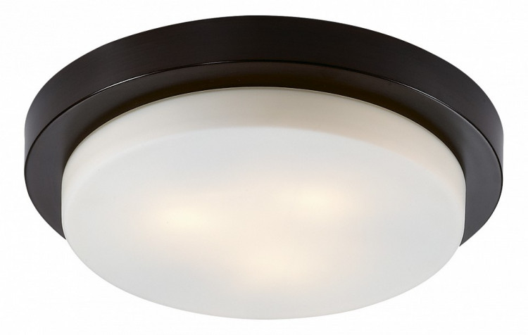 Накладной светильник Odeon Light Holger 2744/3C