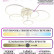 Потолочная люстра Natali Kovaltseva High-Tech Led Lamps HIGH-TECH LED LAMPS 82036