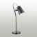 Настольная лампа офисная Lumion Miku 3674/1T