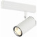 Светильник на штанге ST-Luce SKYLINE 220 ST504.506.01