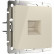 Розетка Ethernet RJ-45 без рамки Werkel слоновая кость W1181003