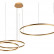 Подвесной светильник Loft it Ring 10017/3S