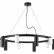 Подвесная люстра Lightstar Rullo LR020365875