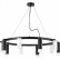 Подвесная люстра Lightstar Rullo LR0203658751