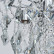 Потолочная люстра De City Бриз 464019204