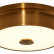 Накладной светильник Citilux Фостер-2 CL706212