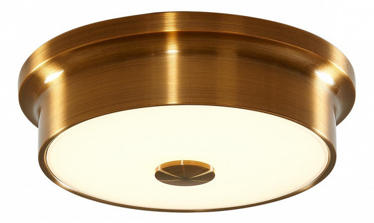 Накладной светильник Citilux Фостер-2 CL706212